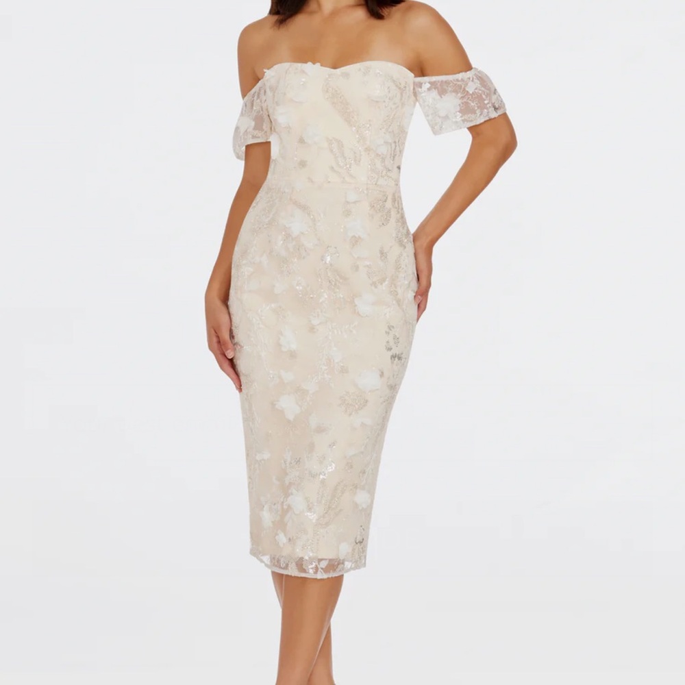 Dress the Population - Tara Lace Dress in a size Small